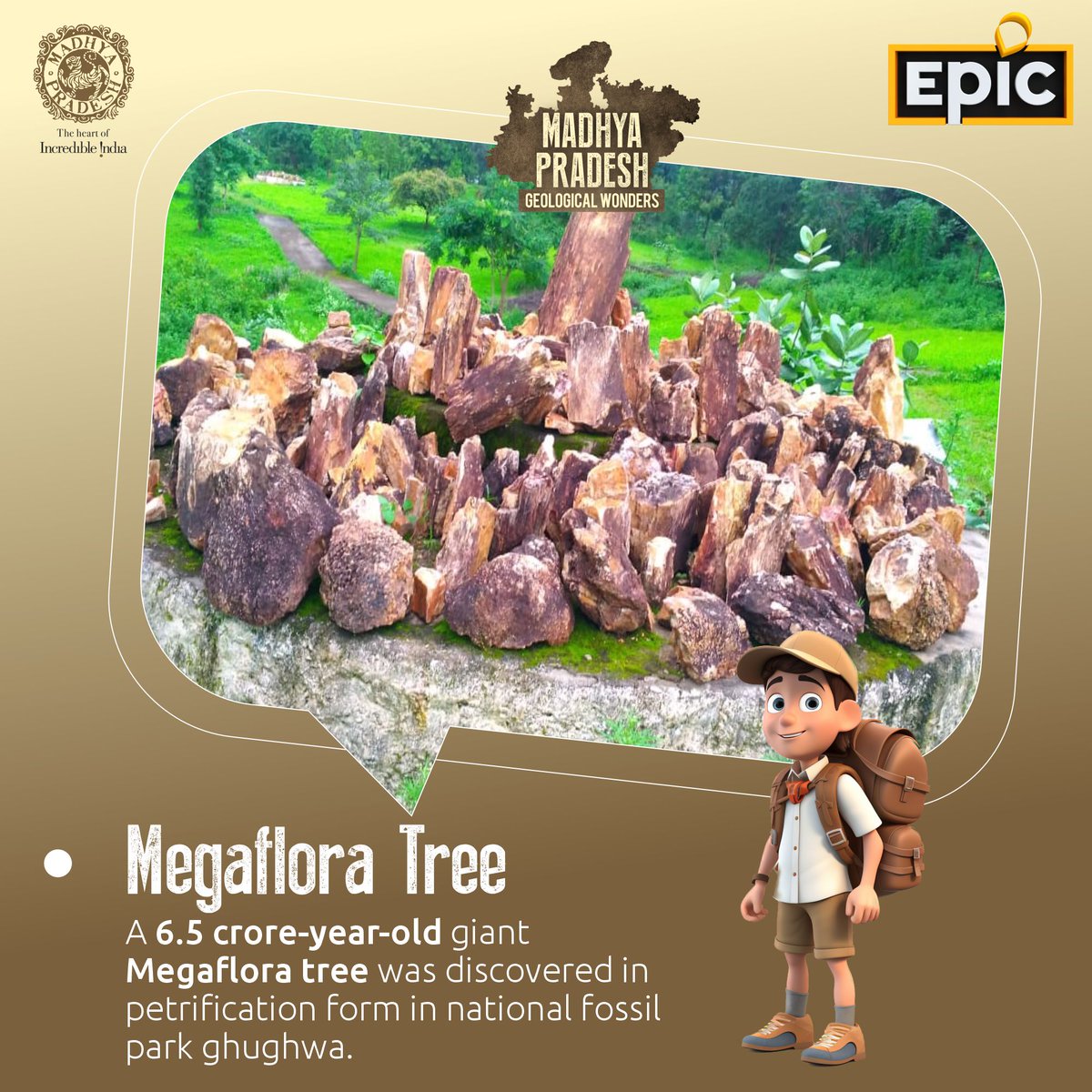Explore Ghughua Fossils Park's enchanting Megaflora tree! 🌳🍃 Time stands still as Earth's history whispers through this captivating relic.  #MegafloraTree #GhughuaFossilsPark #MPGeologicalWonders #EPICChannel #TravelWithPurpose #DiscoverMadhyaPradesh #ExploreNature