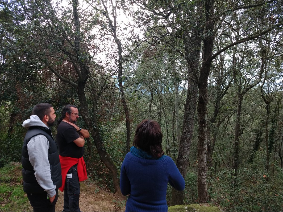 Dissabte passat vam fer una xerrada sobre el terreny explicant com adaptar els boscos al canvi climàtic mitjançant gestió forestal. Gràcies als assistents i al seu interès! <a href="/de_celoni/">Ajuntament de Sant Celoni</a> <a href="/SetmanaBosc/">Setmana del Bosc</a>