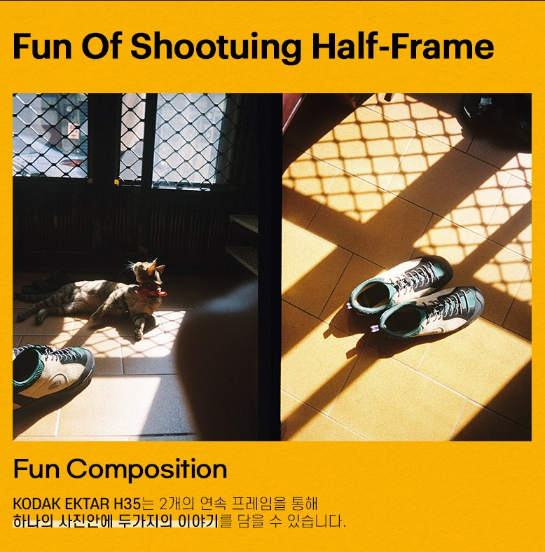 📸작고 귀여운 필름 카메라
👍Kodak 하프 필름카메라 H35 + 코닥 컬러필름 1롤 Set 4종
⬇️⬇️⬇️
link.coupang.com/a/be7y9S

#하프프레임  #필름카메라 #레트로 #감성 #코닥 
파트너스 활동으로 일정액의 수수료를 제공받을 수 있음