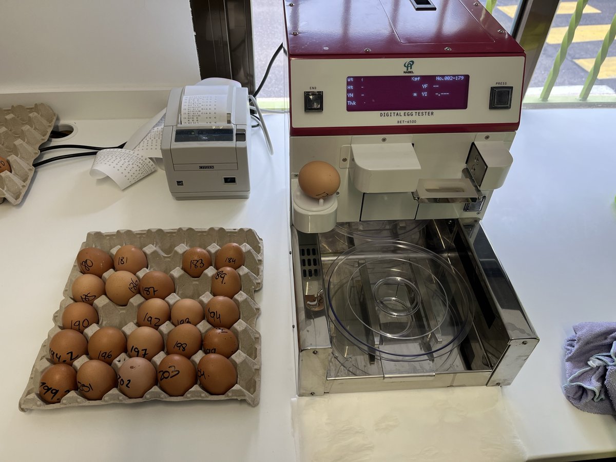 sustainavility's tweet photo. Aplicación de formación en materia de #bienestaranimal en #gallinascamperas y análisis de calidad de #huevo de las mismas. 

El equipo de PRC (@Nutreco) visitó la granja de gallinas camperas de Pazo de Vilane #Lugo, para seguimiento y evaluación de bienestar a 40 semanas de vida. https://t.co/HS3C9yxEZN