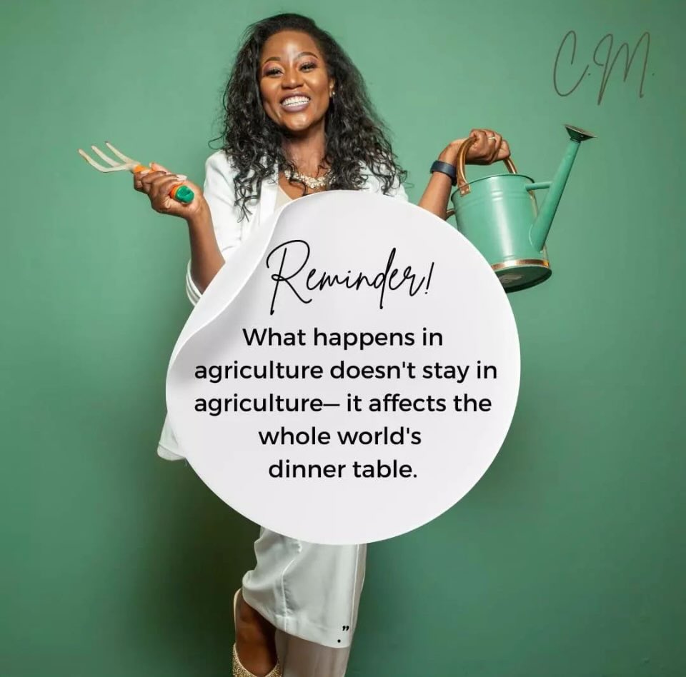 ConceMoraba's tweet photo. Here’s to another week of “farm to table” adventures 🚜🌽🍎🥬 https://t.co/XjFKWr5lk3