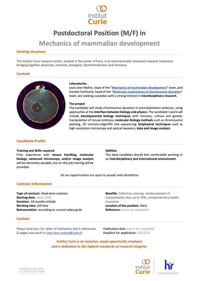 📢We are recruiting! Please RT! @FachinettiLab and I are looking for a #postdoc candidate to look into the mechanics of chromosomes during early mammalian development. Come join us @institut_curie in the centre of @Paris !