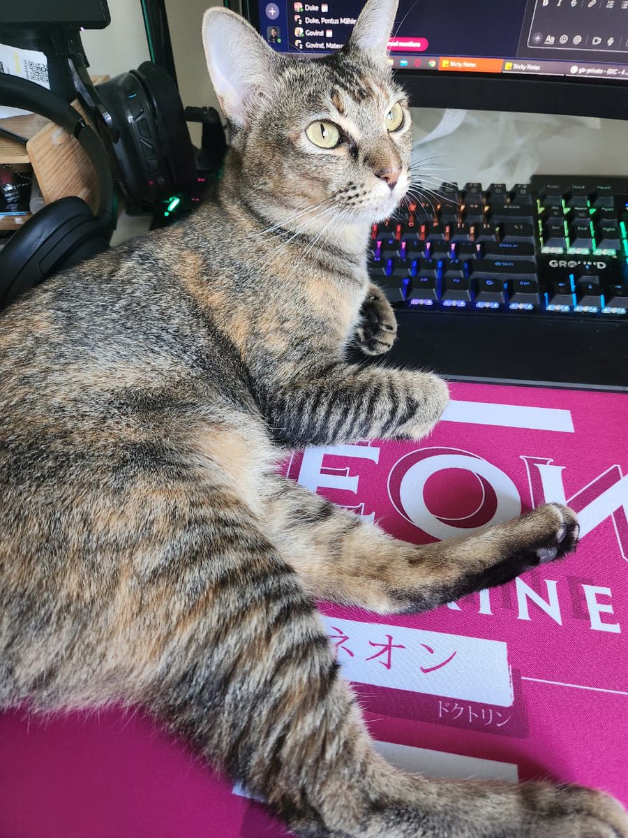 Tidus Wong (@tiduswong) on Twitter photo Thanks <a href="/Stutsies/">Vlad🤙Neon Doctrine</a> for the sick <a href="/NeonDoctrine/">Neon Doctrine | 🍃Altheia Releases On August 21!🍃</a> mousepad, Casper found a new place to chill😂 Thanks <a href="/Stutsies/">Vlad🤙Neon Doctrine</a> for the sick <a href="/NeonDoctrine/">Neon Doctrine | 🍃Altheia Releases On August 21!🍃</a> mousepad, Casper found a new place to chill😂