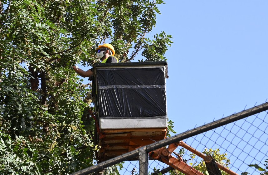 Κοπή δέντρων από το πρωί  στην πλατεία Εξαρχείων. Αποδοκιμασίες από τους κατοίκους παρουσία αστυνομίας ΜΑΤ. #εξαρχεια