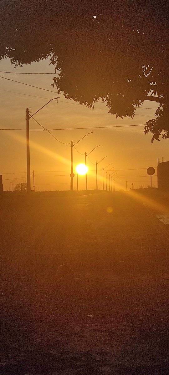 clebinhobassman's tweet photo. Nascer sol iluminado aqui em São Joaquim da Barra, interior de SP ! Ótima semana a todos amigos do Hora 1 #horaum #hora1 https://t.co/bPHNwFwjzq