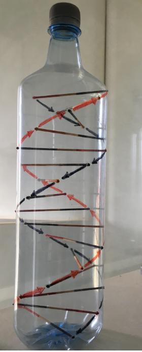 DNAdidactic's tweet image. Practica y anima a  tus alumnos a elaborar de una forma sencilla una #maqueta de #ADN realista.  bit.ly/475b6dC  
#ADN #DNA #DNADIDACTIC