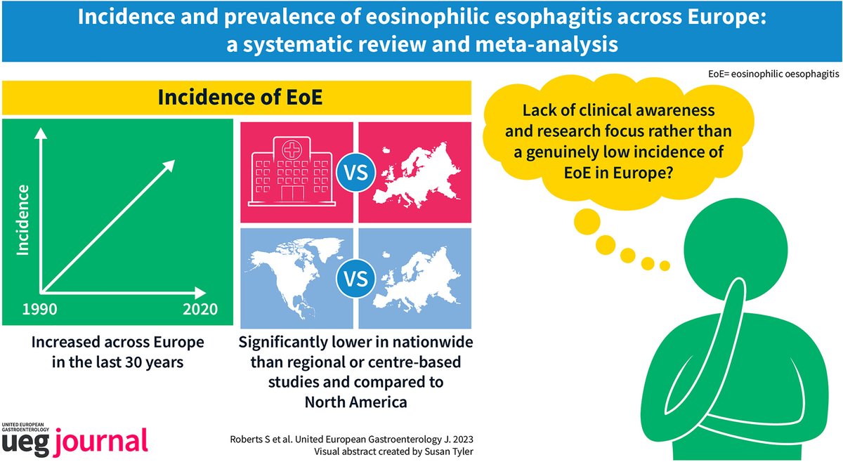 🆕@uegjournal 🎯estimate of #EoE epidemiology 📈higher incidence with time 🔗doi.org/10.1002/ueg2.1… @EosinophilicC @Regeneron @EosinophilSoc @APFEDorg @CharityEos @shmallergy @my_ueg