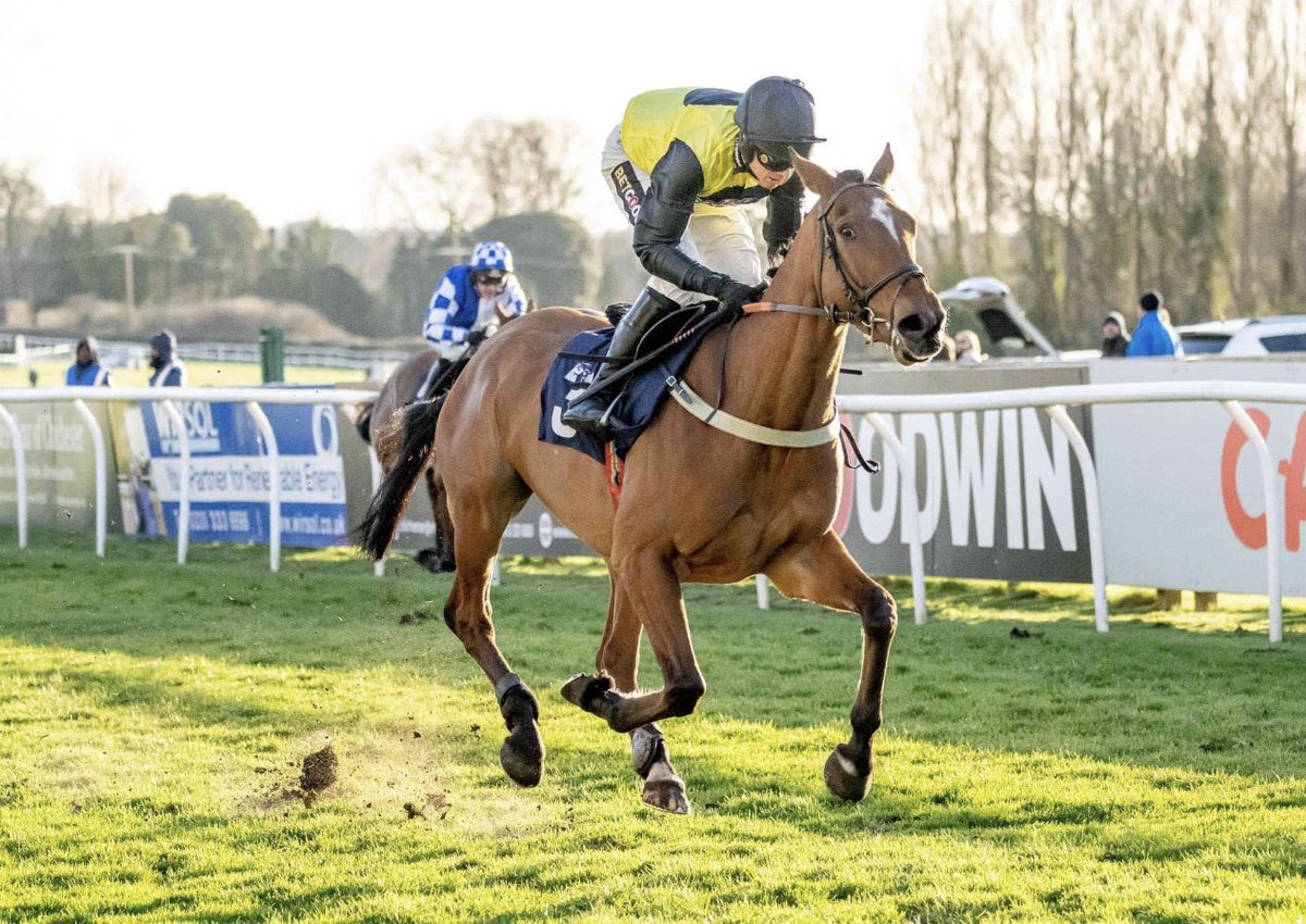 £100 GIVEAWAY….If ⁦<a href="/Rex_Dingle/">Rex Dingle</a>⁩ wins the 2.07 ⁦<a href="/plumptonraces/">Plumpton Racecourse</a>⁩ on the ⁦<a href="/Chrisgordonrac1/">Chris Gordon Racing</a>⁩ trained GOODWIN (currently 6/4F) then one of you will win £100….just follow + retweet to enter (over 18’s)