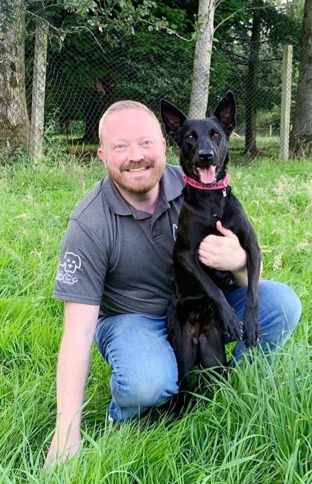 PlayforStrays tweet media