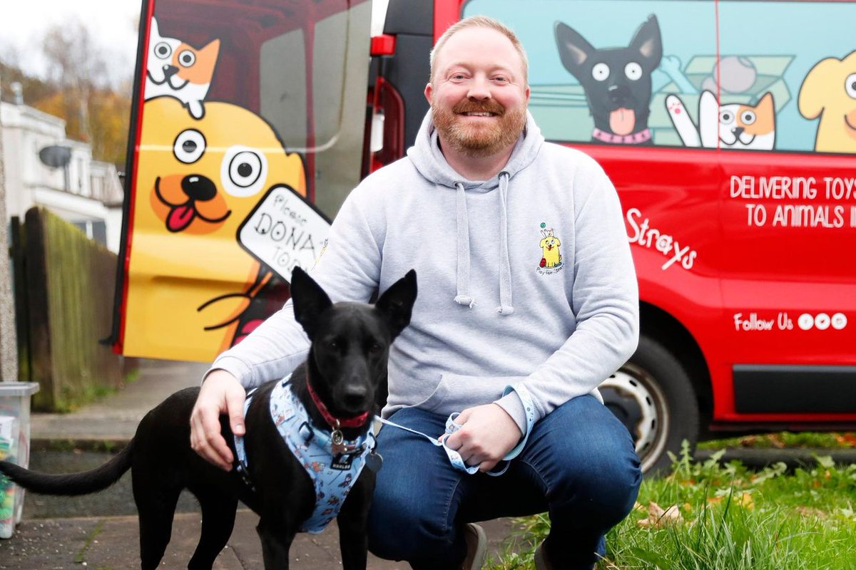 PlayforStrays tweet media