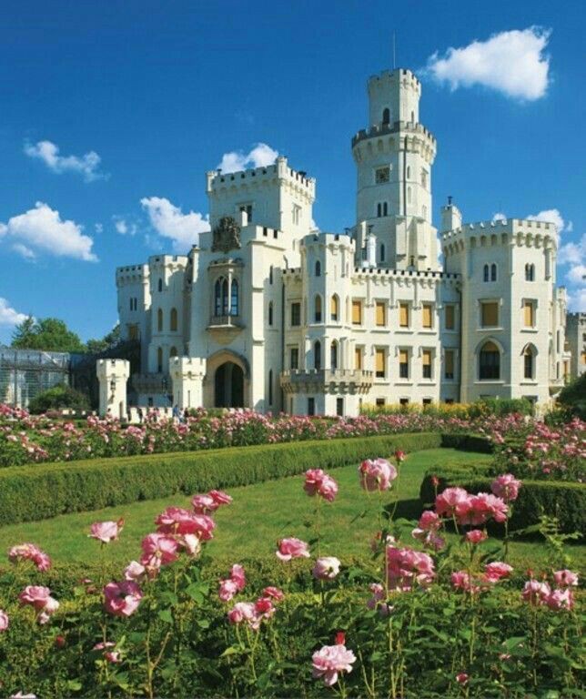 MinhyungLee_02's tweet photo. Minmark short au

— The prince's 
by @MinhyungLee_02 https://t.co/OZkKwoHJqL