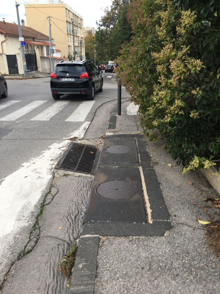 boudemars's tweet photo. @ChateauClu39782 @MarionBareille Vous avez de la chance, moi je demande depuis la rentrée scolaire d'élaguer la rue pour aller à l'école le matin, Enfants en danger https://t.co/fcsBut4brG