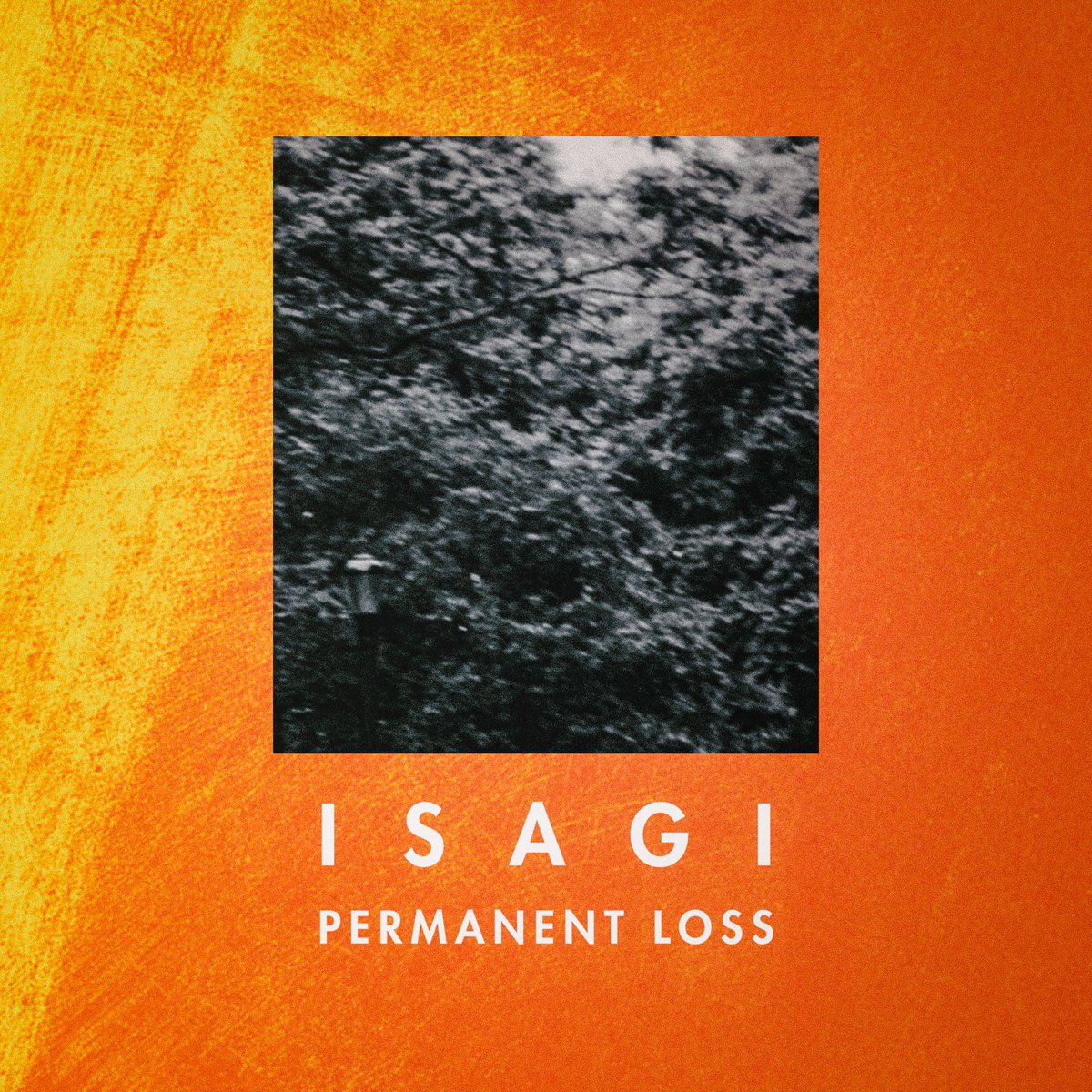 Permanent Loss tweet media