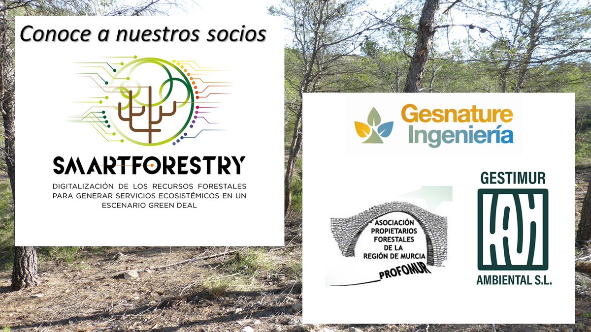 El Grupo Operativo #SmartForestry está desarrollando el proyecto  #Digitalización de los recursos #forestales para generar #serviciosecosistémicos en un escenario #GreenDeal”.  Estos son sus socios:
<a href="/Forestia_eu/">Forestia</a>
<a href="/eforestal/">educación forestal🇪🇺</a>
<a href="/ES_Despoblacion/">Asociación Española Contra la Despoblación (AECD)</a>
<a href="/foresna/">Foresna Zurgaia</a>
<a href="/FCesefor/">Fundación Cesefor</a>
<a href="/ForestryNews/">Noticias Forestales</a>