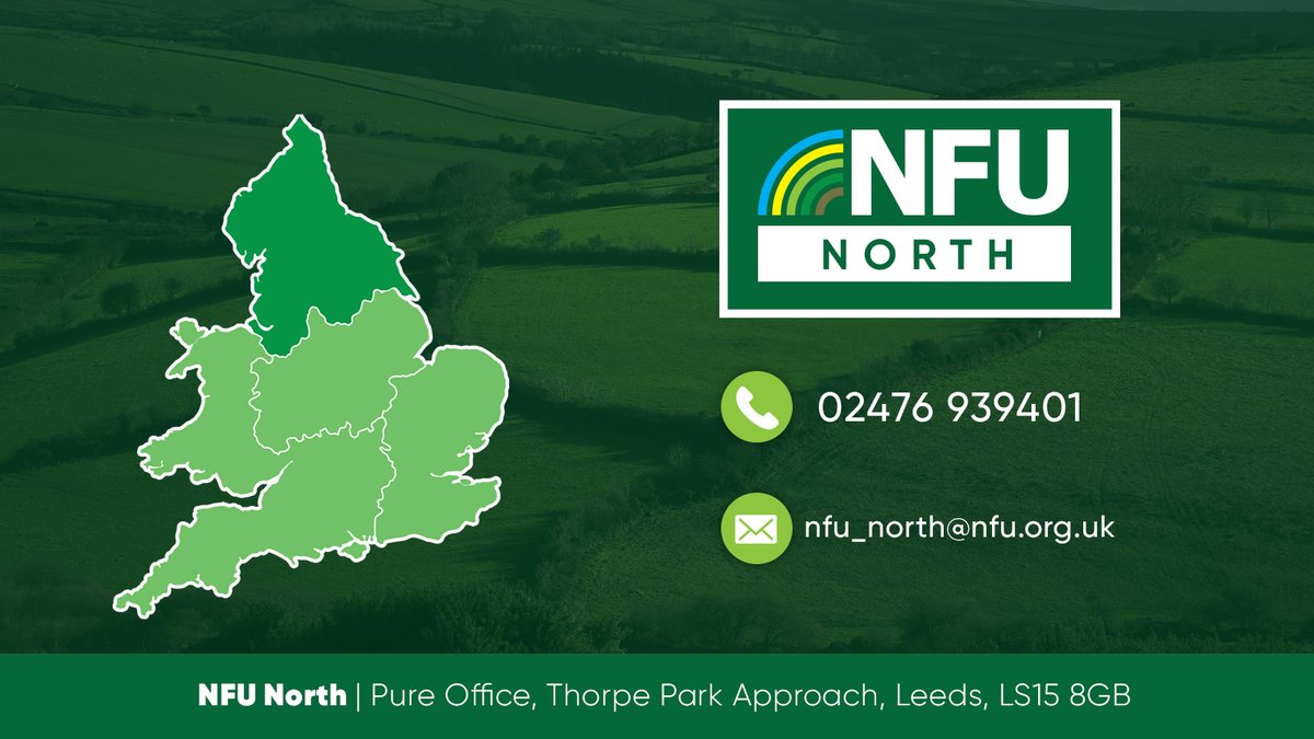 nfunorth's tweet image. Introducing your new @nfunorth team! ๐ฌ๐ง๐ท Follow us on Instagram too: instagram.com/nfunorth