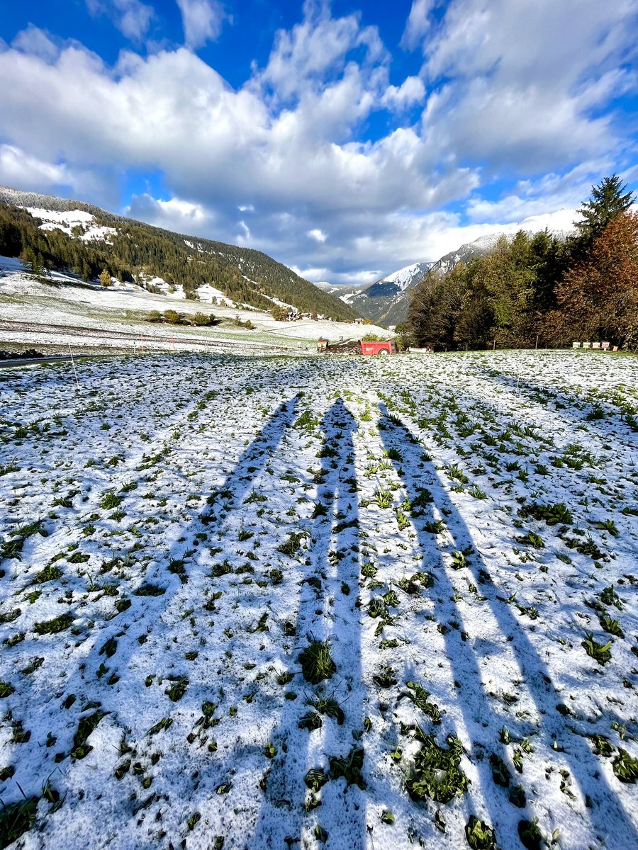 PierreMariotte's tweet photo. The #fieldwork season is over in #Valais๐จ๐ญโ๏ธ #DryMountProject @agroscope @emilie_roinel https://t.co/hRXDdy8Gn0