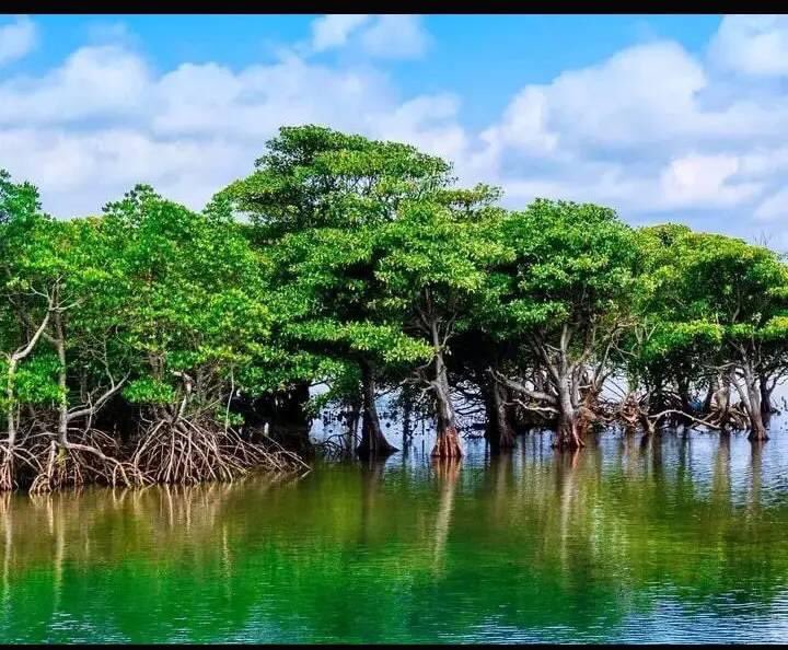 AskPHPeople's tweet photo. The beautiful creeks of Andoni is a sight to behold.

Good morning Port Harcourt People. https://t.co/CVhCG5M21M