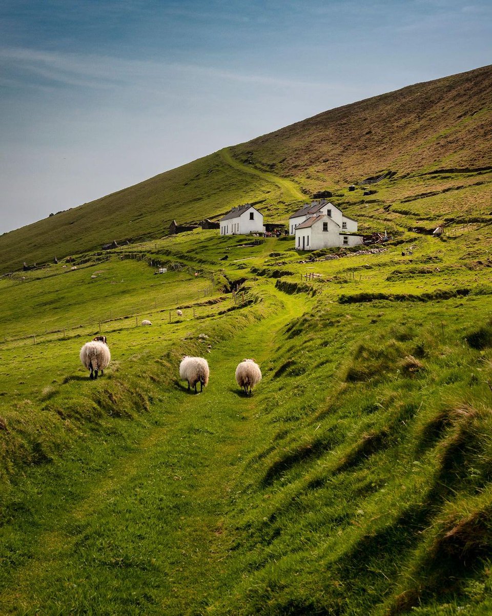 Sometimes, it's just all about the journey and the company you're with 💚 

📍Great Blasket Island, County Kerry

📸 instagram.com/katjas.fotogal…