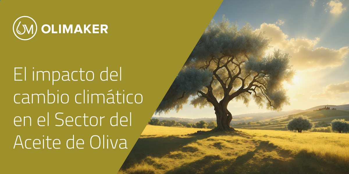 🆕📢El Impacto del Cambio Climático en el Sector del Aceite de Oliva🌿

¿Estás listo👌 para leer leer el nuevo post👉 de esta semana?

🔗 olimaker.com/impacto-del-ca…

#olimaker #aove #CambioClimáticoSectorAceiteOliva