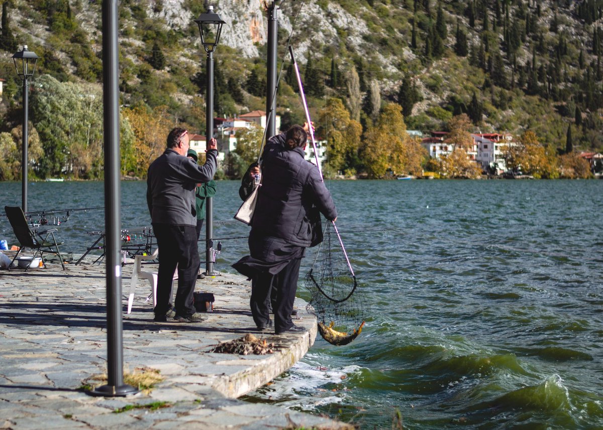 🐟 The big catch 🐟
#kastoria #Macedonia #Greece #orestiada #lakeorestiada #lake #bigcatch #fishing #fishermen #Autumn #nikon #nikonphotography #nikond3100 #PhotographyIsArt #photographylovers #photography #photooftheday