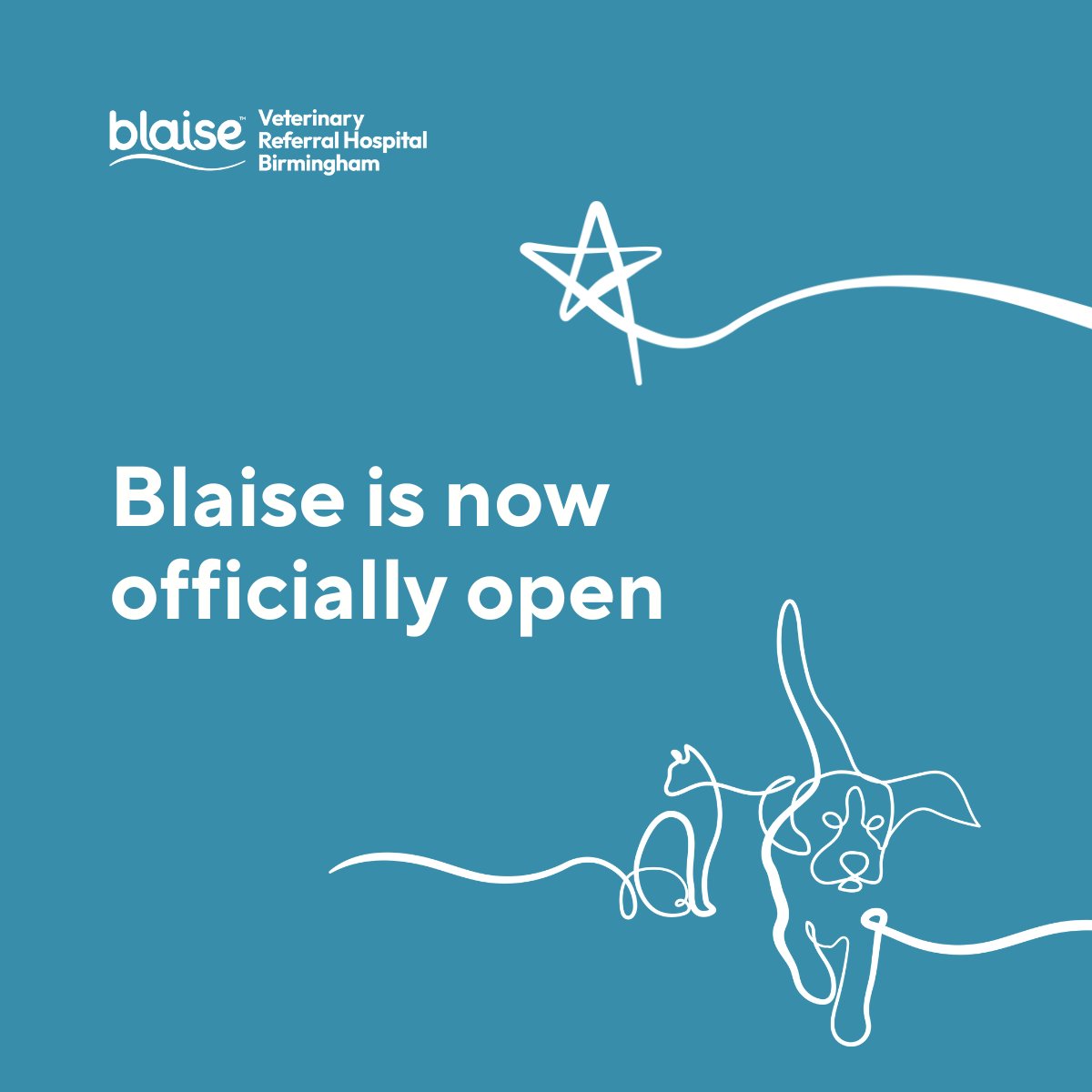 Blaise Veterinary Referral Hospital Birmingham tweet media