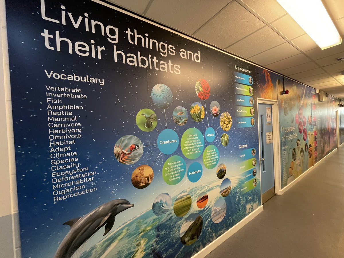 CliftonCoHead's tweet photo. Really pleased with our @PromoteYourSch Science wall! Vocab, photos, key facts and possible careers! @CliftonPrim @artatclifton @RedPSTT https://t.co/dK1VWUYVwp