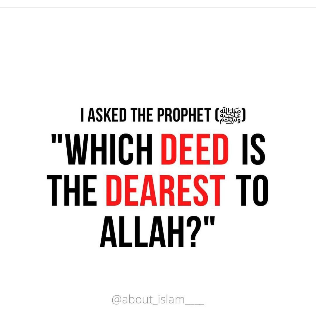 7signxx's tweet photo. Deeds That Are Dearest To Allah...

THREAD https://t.co/Zy6QhgziMV
