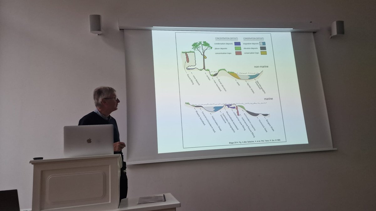 German Palaeoentomology Meeting this year at Senckenberg! A huge thanks to Derek Briggs for his enlightening keynote speech. Grateful to all participants!
