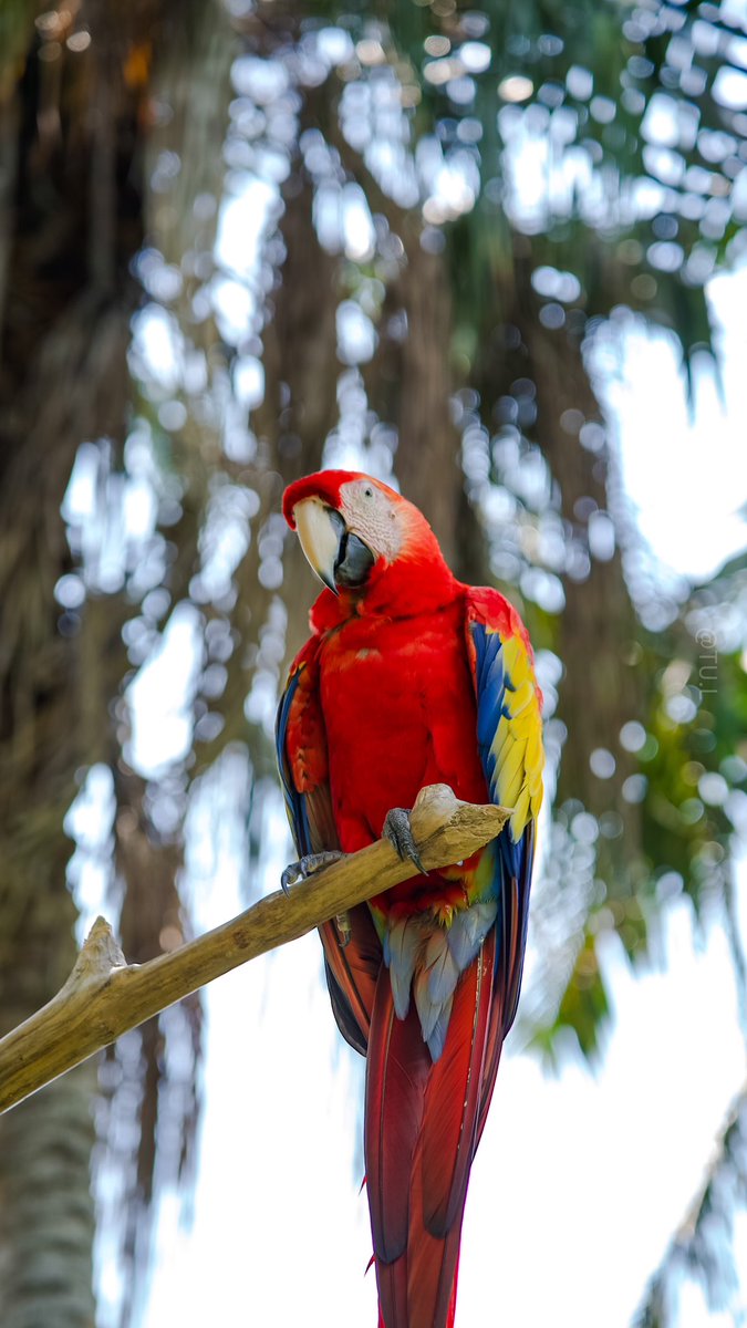 ENG.TURKI ⿻ tweet media