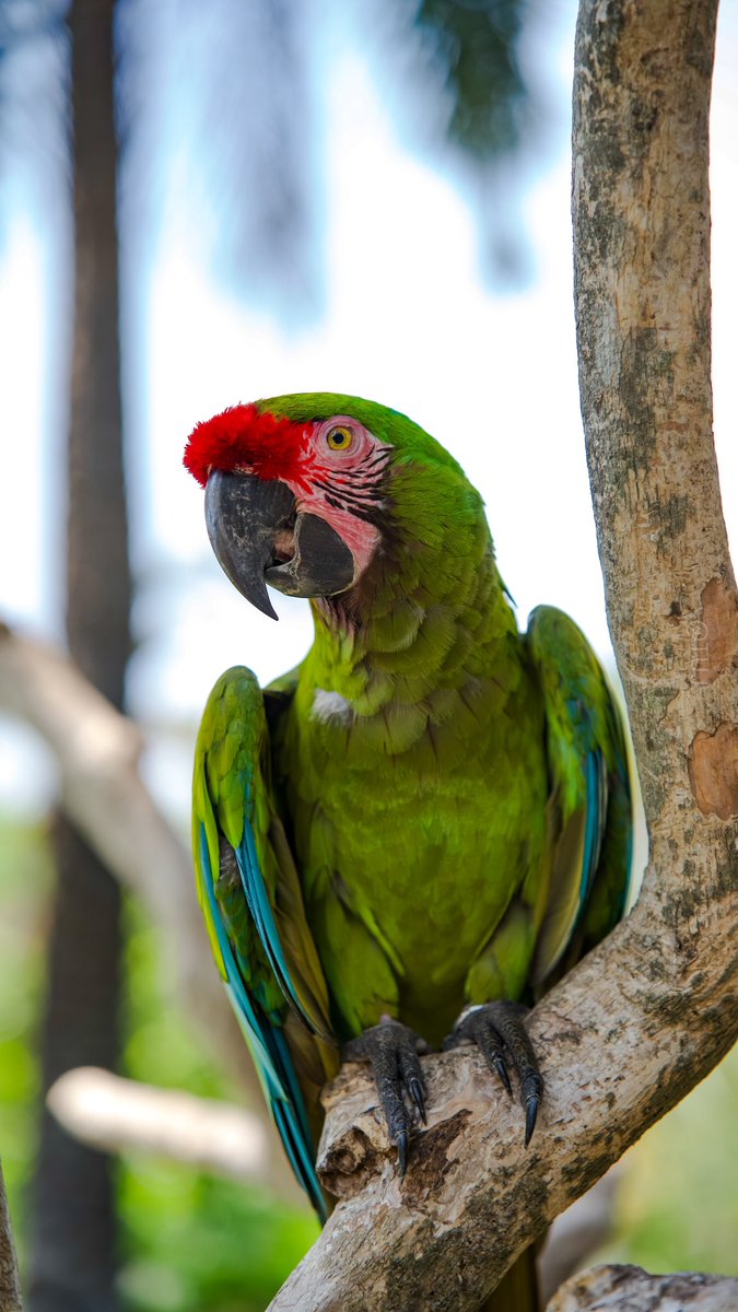 ENG.TURKI ⿻ tweet media