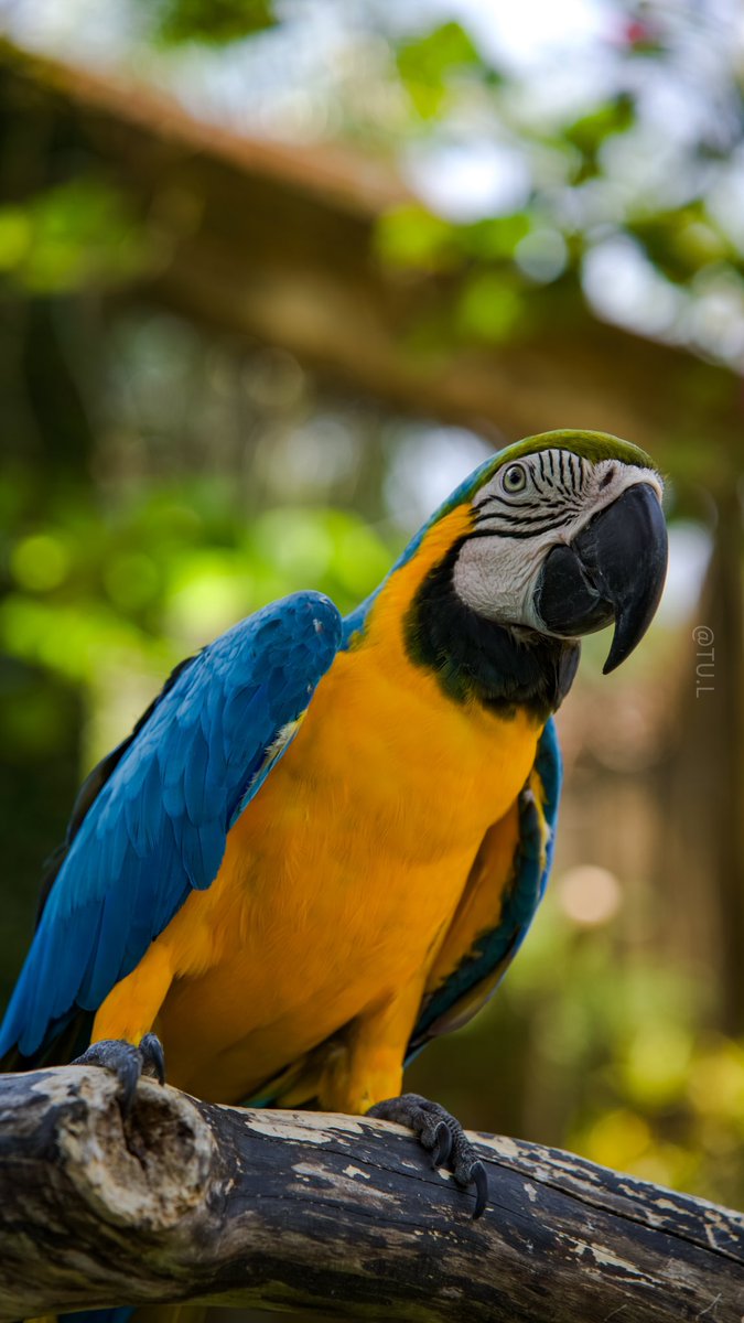 ENG.TURKI ⿻ tweet media