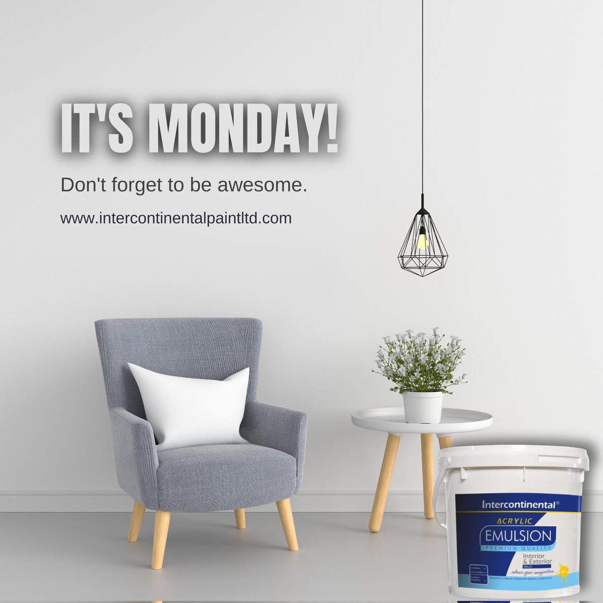 IP_Limited's tweet photo. Paint your life with awesome colors 🎨✨ https://t.co/sXUeTeunDl