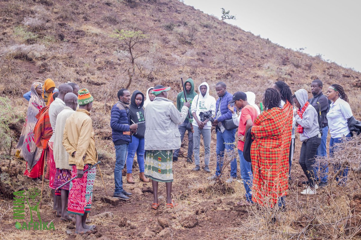 INUKAAfrika_'s tweet image. FMNR, is a system used in the drylands that involves the re-growth of existing trees with the ability to grow as a sprout again 🌱.    

 INUKA field visit in Marsabit explored how NaPO team utilizes FMNR to restore tree cover🌿 that the community has embraced.
