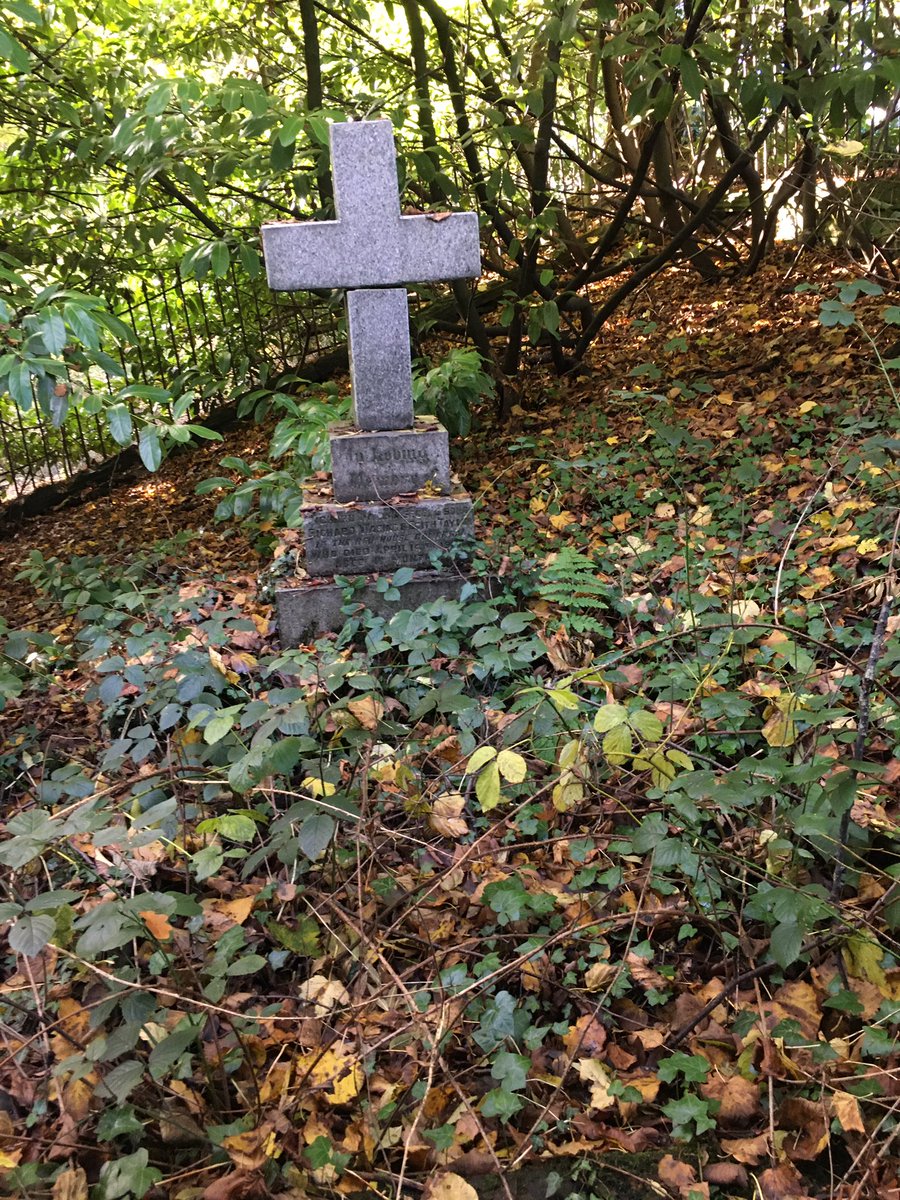 Come across all sorts of things when out in the woods🦡🦡🦡