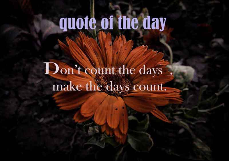 Dashnesh5's tweet image. #mondaythoughts 
#positivity 
#dashtech