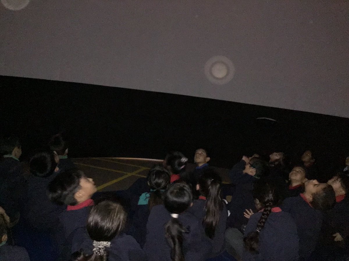 Halley Year 1 tweet media