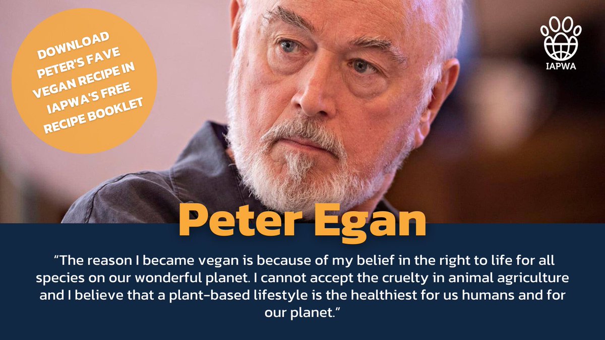 This #WorldVeganMonth why not download your FREE copy of IAPWA's Vegan Recipe Booklet: bit.ly/iapwa-vegan-bo… 🌿

You'll discover well-known animal advocates like the wonderful @PeterEgan6 who share their favourite vegan recipes for you to cook up over the festive period 🥗💛