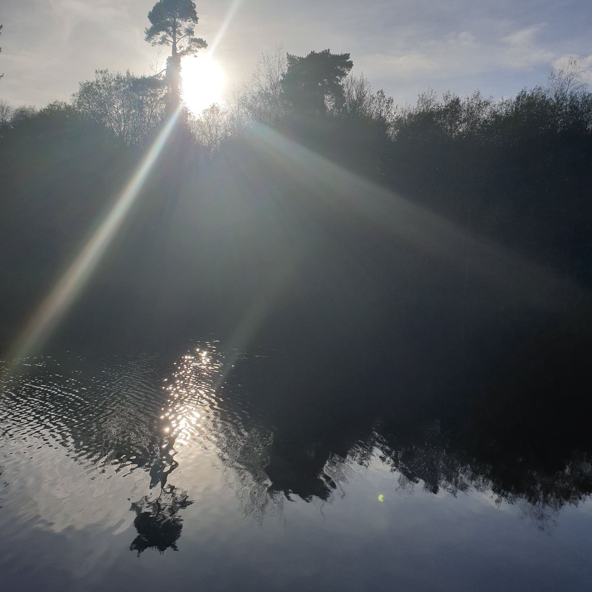 ❄COMMUNITY FRIDGE❄

Our community fridge will open this evening 9.30pm- 10pm

Photos of what's on offer will be posted here after 9pm🍞🍅🥕🍓

#environment #ClimateAction #community #reducefoodwaste