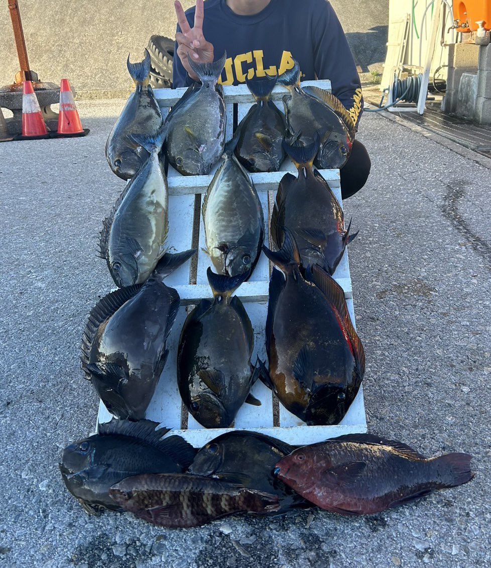 uchina_angler's tweet photo. 06竿おもろい https://t.co/OD8doNsu8h