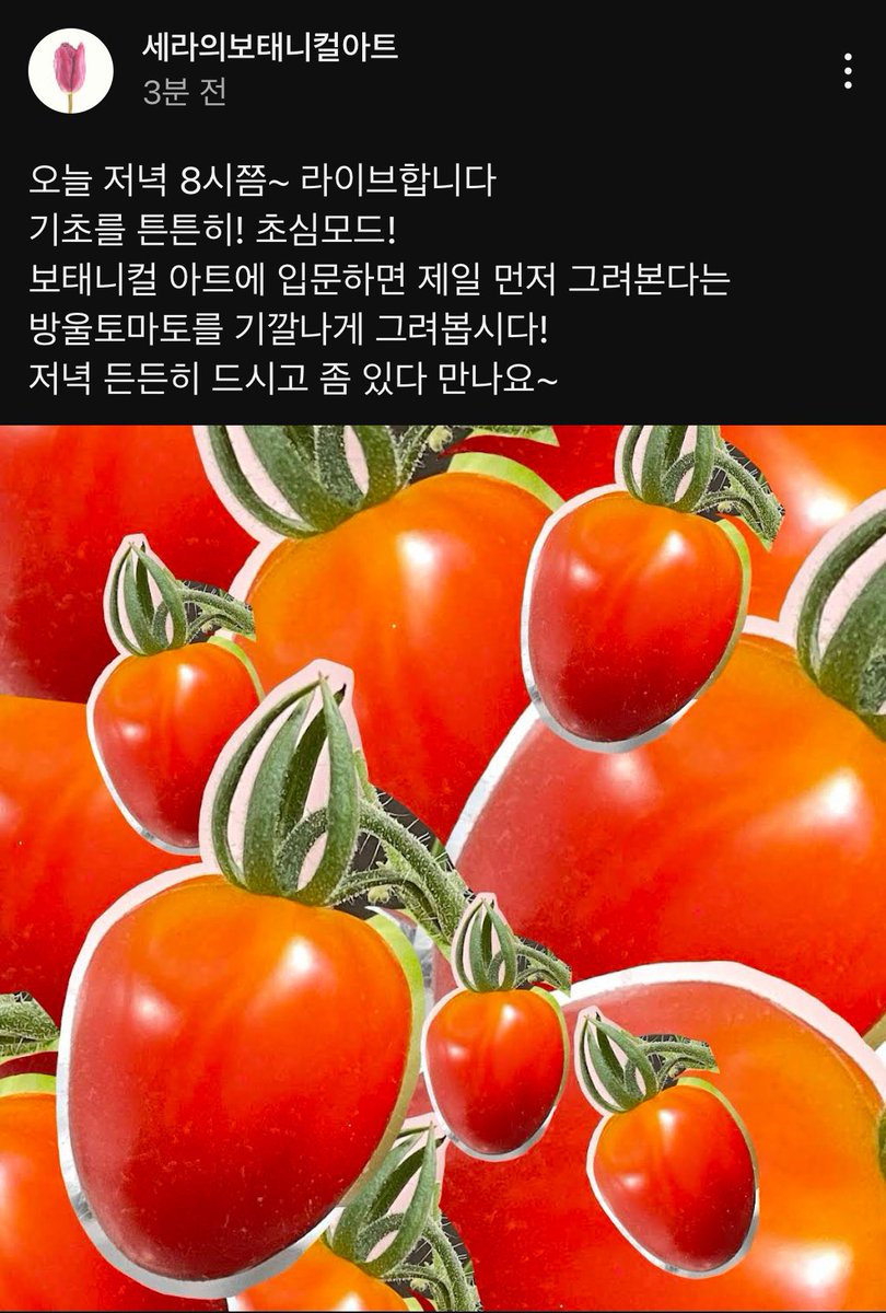 nicehide's tweet image. 강세라 선생님 라방 홍보합니다. 오늘은 기초 중의 생기초 방울토마토 그리기이니 보태니컬 아트 입문에 고민하던 분들께 좋을 듯 합니다. #보태니컬아트 #식물세밀화