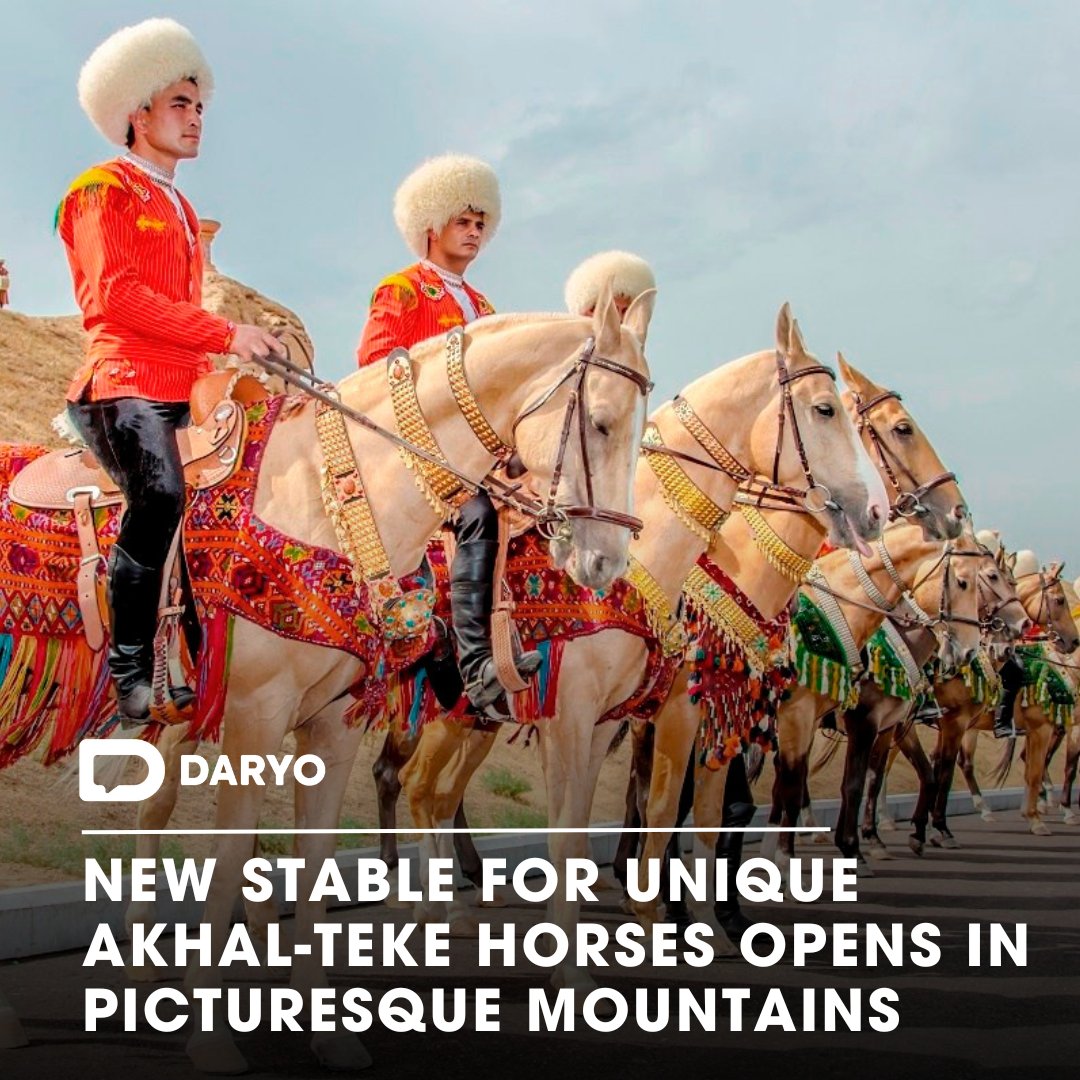 New stable for unique #AkhalTeke #horses opens in #picturesque #mountains of #Turkmenistan 

🇹🇲🐴⛰️

The #LivestockConservancy says the #breed is on the brink of #extinction, with fewer than 7,000 left 

👉Details  — dy.uz/J3PvQ

#AkhalTekeStable #HorseConservation…