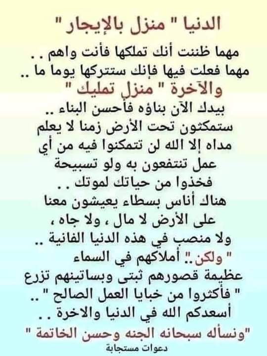 زهرة النرجس tweet media