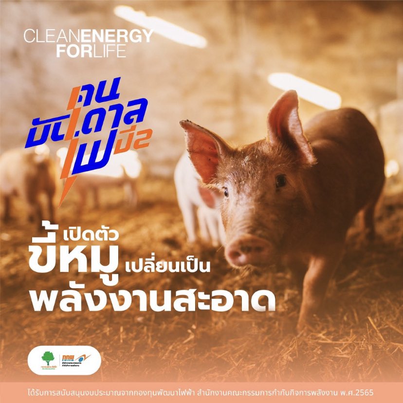 ercpowerdevfund's tweet photo. ขี้หมูคือของดี!
เปลี่ยนจากขี้หมูเป็นพลังงานสะอาด ลดค่าไฟในฟาร์มได้ถึง 70 ล้านบาท/ปี ตามมาชมคลิปดีๆ กัน 👉🏼  https://t.co/YC0rFlpuzb

#กกพ
#กองทุนพัฒนาไฟฟ้า 
#CleanEnergyforLife
#คนบันดาลไฟ https://t.co/LBZ92zC9LO