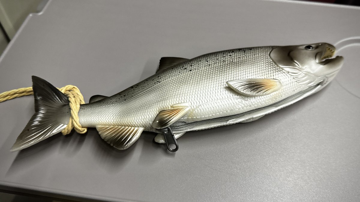 North_ern2's tweet photo. これは鮭の資料館で売ってた、ファスナー開くたび腹かっさばくことになる鮭ポーチ。 https://t.co/NtKgxvhY5b