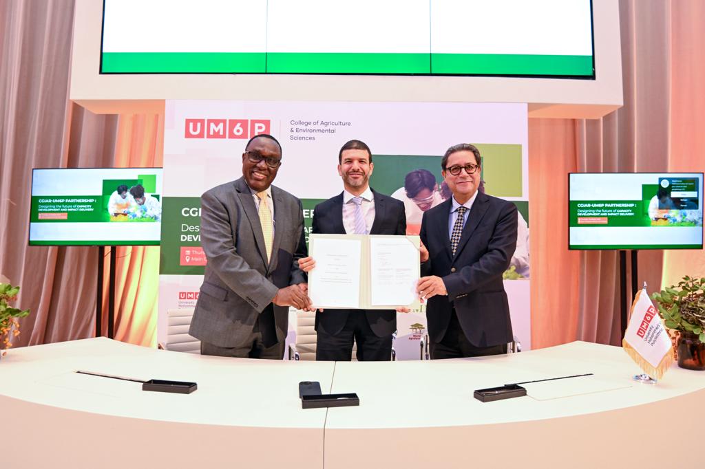 IITA_CGIAR's tweet photo. IITA and partners collaborate to establish a One CGIAR Capacity Development Hub
Read more...
https://t.co/BaJelIv4iE
.
#OneCGIAR #iitastories #partnerships https://t.co/TVfhmBTV8c