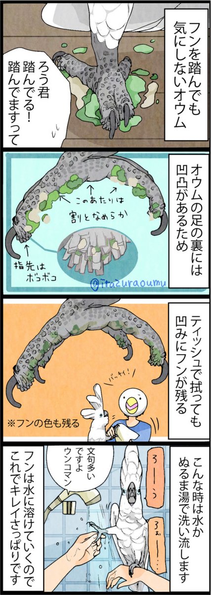 フンだけに…