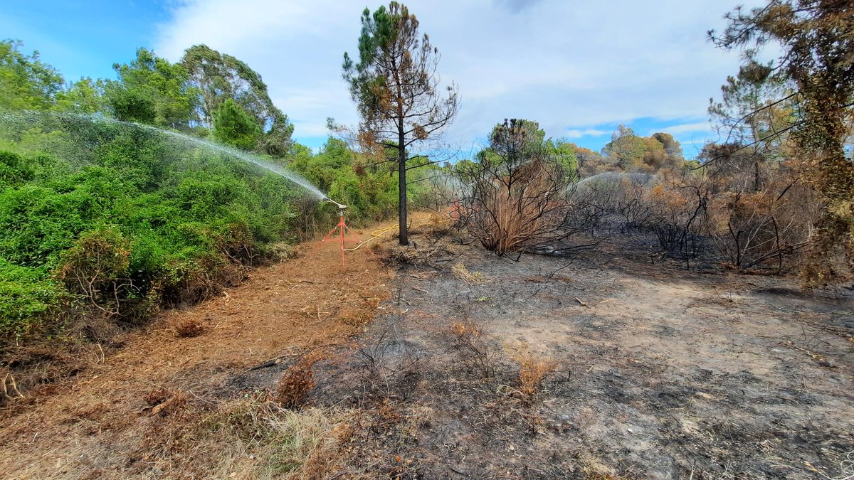 Bombers Ajuntament València tweet media