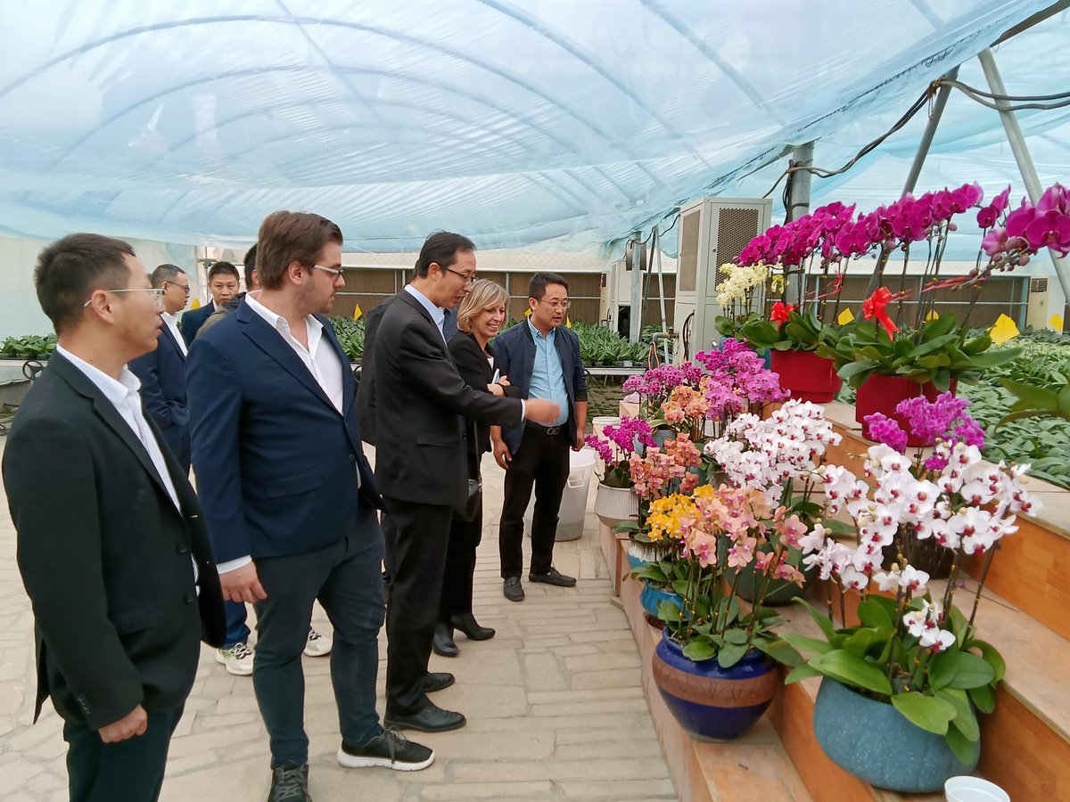 FCCCommerce's tweet photo. The @FCCCommerce  recently organised a two-day visit to Weihai City, Shandong Province, from 19 to 20 October 2023. Three Flemish SMEs participated in the visit: Deroose Plants; MARELEC Food Technologies; and @PB_Leiner 

To find out more, contact info@flanders-china.be

🌏💼🤝 https://t.co/HkNPdhy79p