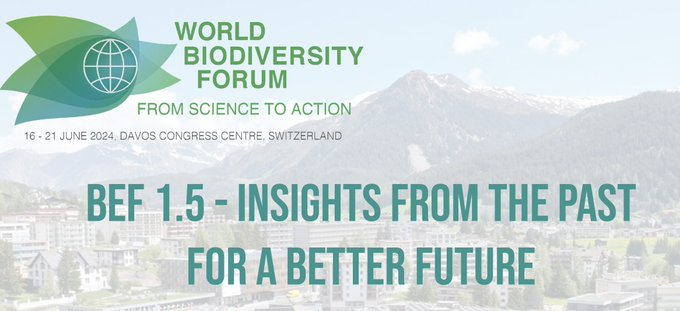 Transmitting Science | Online courses and more (@transmitscience) on Twitter photo Abstracts are now being accepted for WBF24 <a href="/WorldBioForum/">World Biodiversity Forum</a> . Connect with researchers and practitioners to find solutions for #biodiversity #conservation
📆 June 17-20, 2024 in Davos, Switzerland
worldbiodiversityforum2024.org/about-wbf/ Abstracts are now being accepted for WBF24 <a href="/WorldBioForum/">World Biodiversity Forum</a> . Connect with researchers and practitioners to find solutions for #biodiversity #conservation
📆 June 17-20, 2024 in Davos, Switzerland
worldbiodiversityforum2024.org/about-wbf/