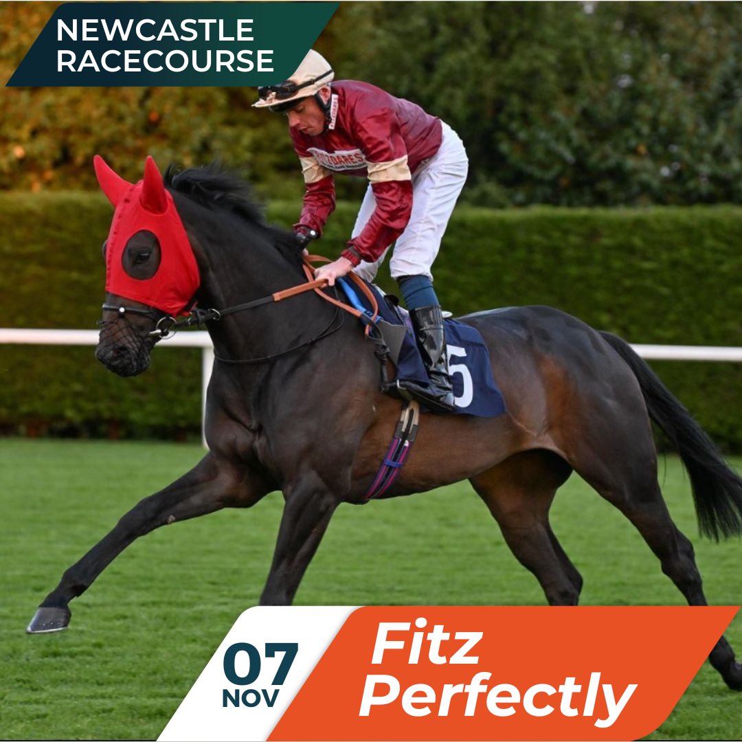OldGoldRacing's tweet photo. Fitz Perfectly has been declared to run at Newcastle (AW) on November 7th in the 16:05 @NewcastleRaces Handicap over 1m2f.
 
Mikkel Mortensen will be onboard. 😜

#offracing #offtotheraces #allweather #fitzperfectly #charliefellowes #oldgoldracing #ownapieceoftheaction #getyourheartracing